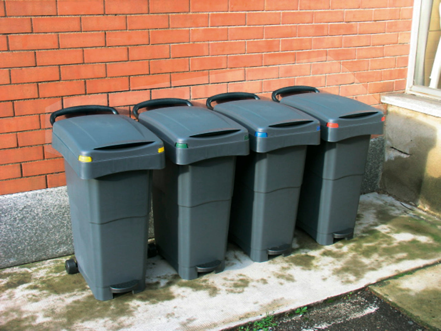 Kit 4 Bidoni Raccolta Differenziata 80L MOBIL PLASTIC - Giallo, Blu, Rosso, Verde Con Ruote - Foto 7